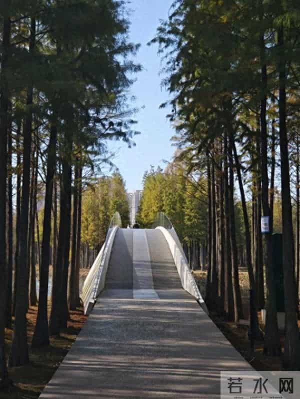 与其跳出舒适区,不如扩大舒适区:体制内人的成长暗线