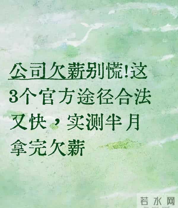 公司欠薪别慌!这3个官方途径合法又快,实测半月拿完欠薪