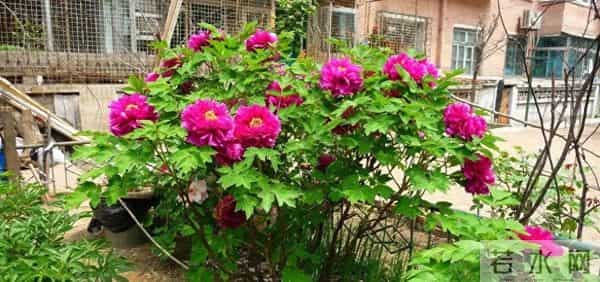 面试上百人后顿悟:很多人找不到工作是有道理的,4个致命错