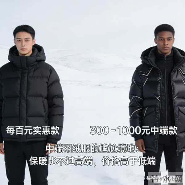 羽绒服市场K型分化:中端遇冷,高低端两重天