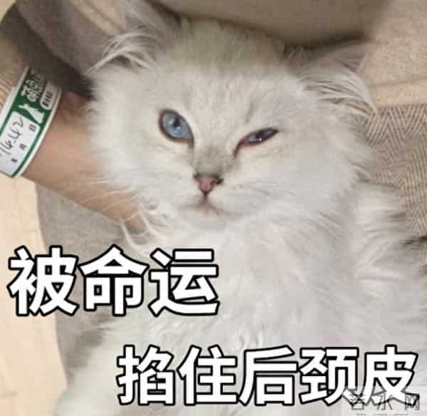 女士内裤,真的别乱买!