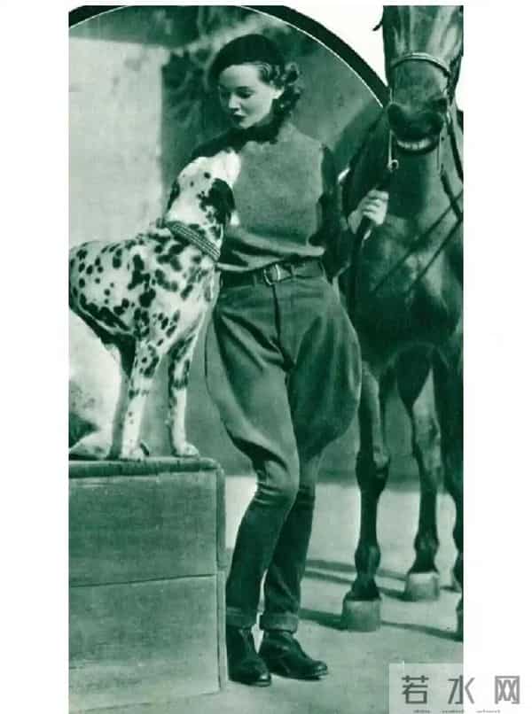 丑裤子三姐妹，「占领」中产衣柜？