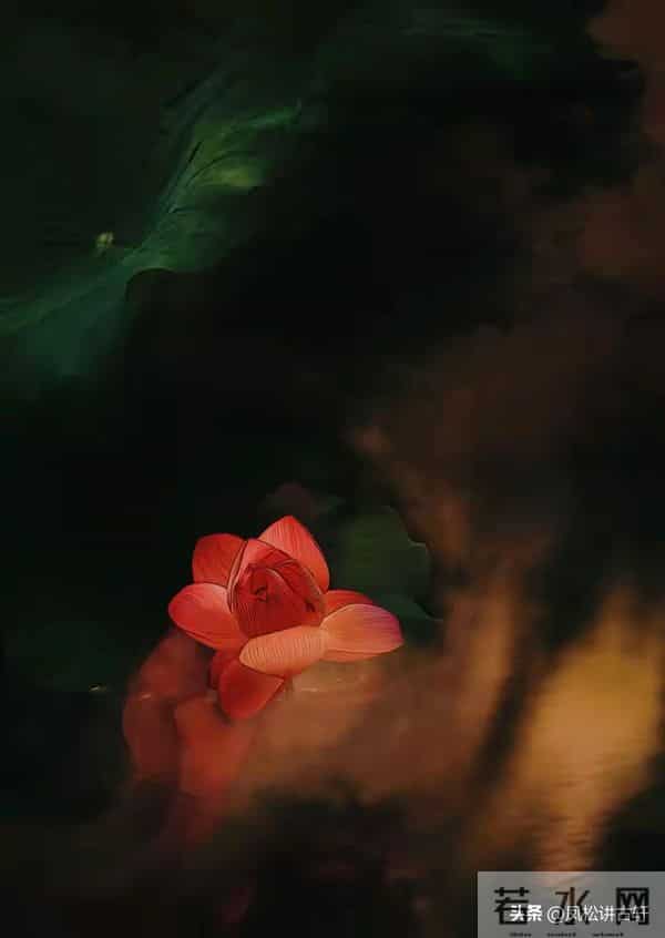 判断女人是否干净，看她这6个部位，八九不离十