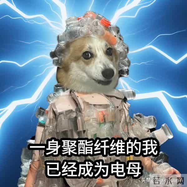 冬天发誓不买这7种衣服，看似洋气实际很“坑人”，不保暖还劣质