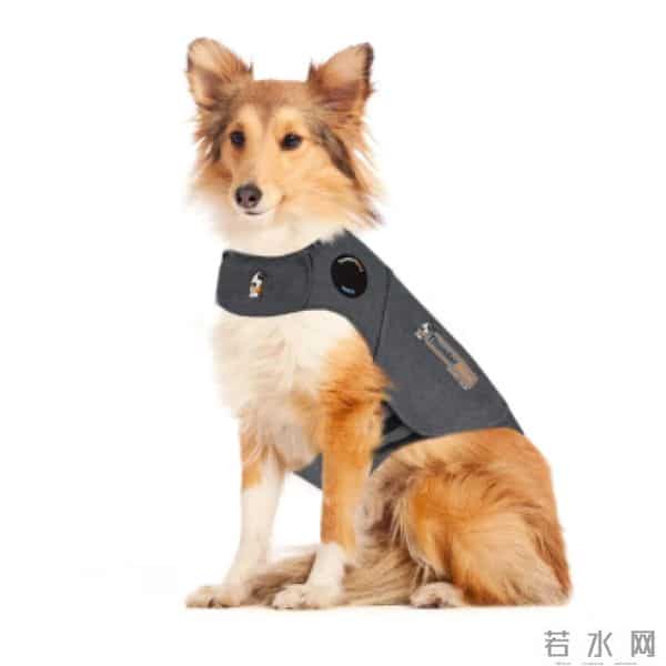 当代年轻人：自己拼夕夕，给狗穿阿迪和锐步