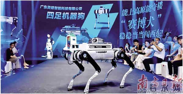 登湾区T台 赴暖冬之约