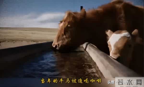 丑到极致就是潮!3000一双的“牛马打工鞋”,成了中产体面穿搭