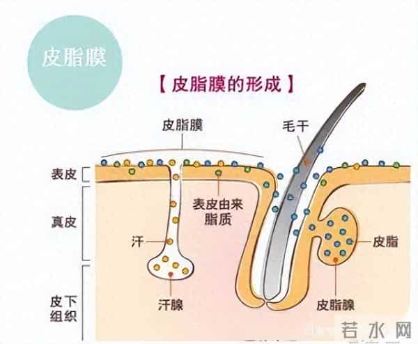 秋冬“肌肤大考”,身体“下雪”了怎么办?
