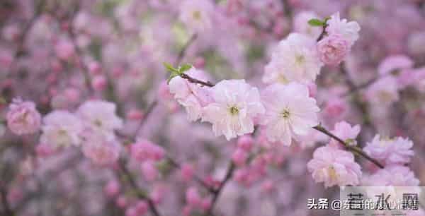 为什么女人跟男人外出总爱穿裙子？成年人的小浪漫，你懂吗