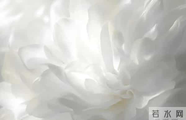 潘通2026年度色「云上舞白」上线，网友：真没灵感了？