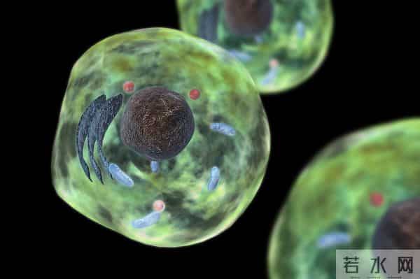 长期染发会致癌吗？专家提醒：黑色染发剂最危险，有7点需注意！