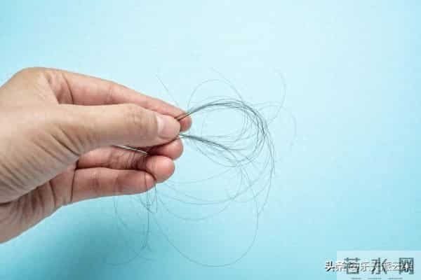 “倒着洗头”促生发：利用重力的头皮养护法