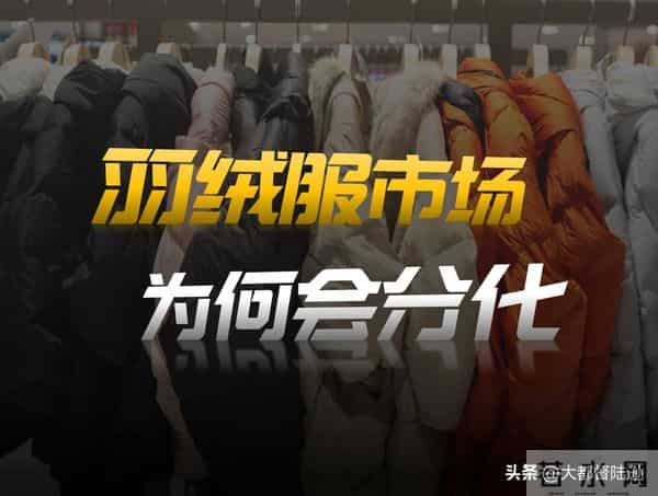 羽绒服市场为何会极度分化？是有钱人变多了，还是都消费降级了？