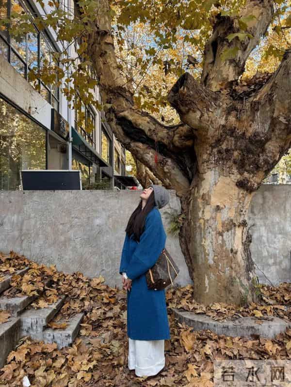 “大衣+阔腿裤”今年很火的穿搭,高级又时髦