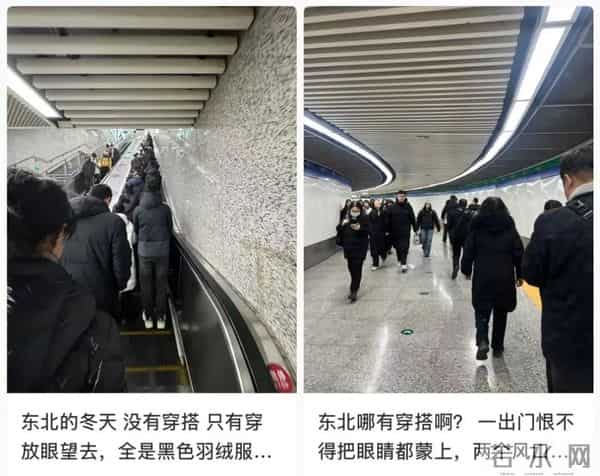 《东北人过冬图鉴》，你是哪一种？