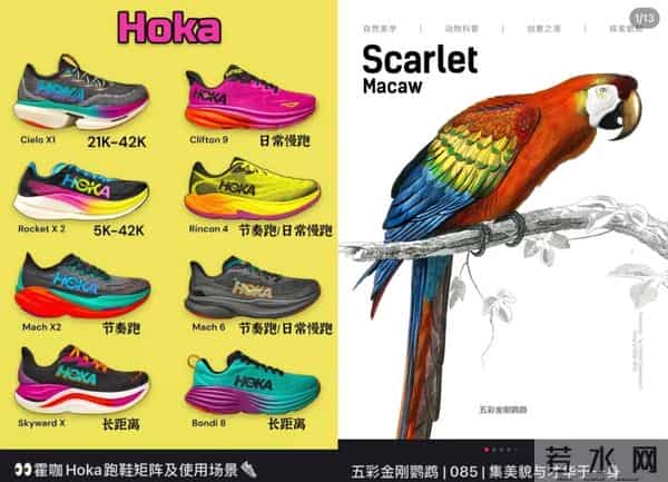 千元丑鞋HOKA，被“牛马们”买爆了