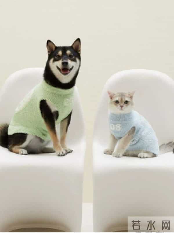 当代年轻人：自己拼夕夕，给狗穿阿迪和锐步