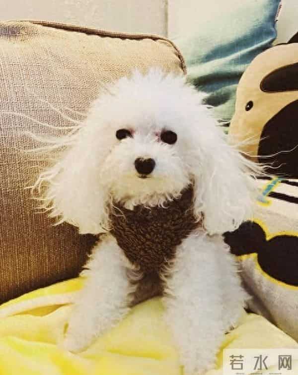 秋冬不建议佩戴的十大珠宝：静电“大帮凶”，一路火花带闪电