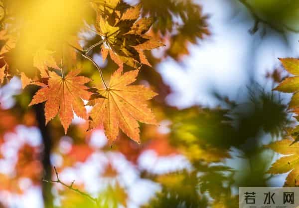 年纪大了，骚不动了，现在对时尚的追求就一个字：暖！