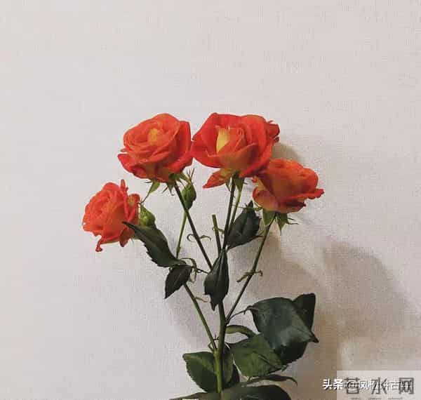 判断女人是否干净，看她这6个部位，八九不离十