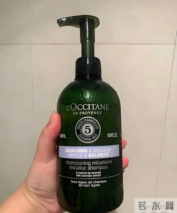 全球十大口碑最好的洗发水