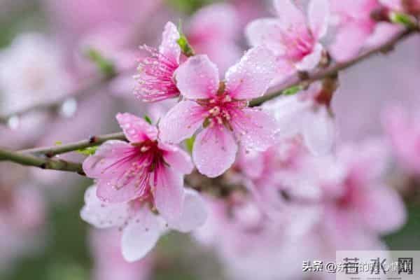 为什么女人跟男人外出总爱穿裙子？成年人的小浪漫，你懂吗