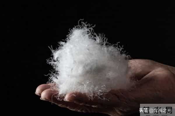 棉花去哪儿了？