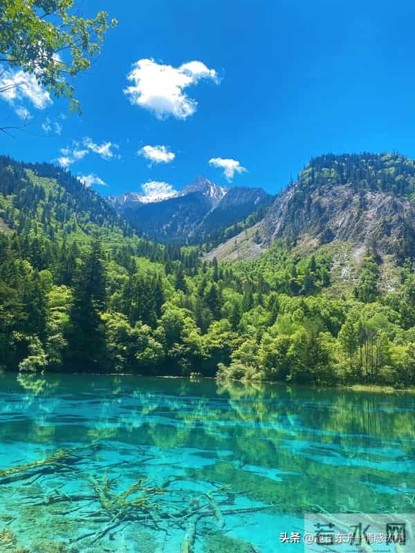 皮肤的三次蜕变-藏着我们一生的温柔与沧桑