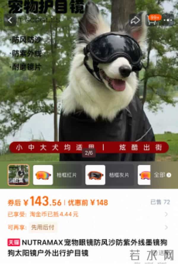 当代年轻人：自己拼夕夕，给狗穿阿迪和锐步