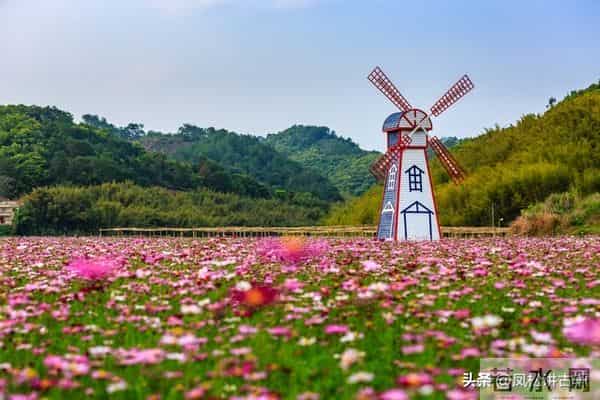女性老得快的原因，勤洗头排第2，第1名很多姐妹都在做
