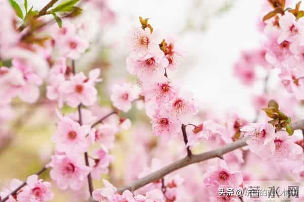 为什么女人跟男人外出总爱穿裙子？成年人的小浪漫，你懂吗