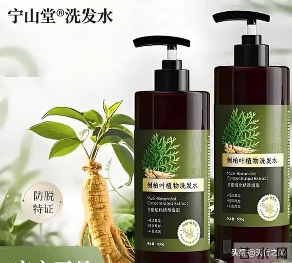 全球十大口碑最好的洗发水