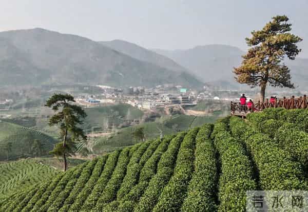 告别华而不实冬装，厚外套温暖过冬，大学生选择军大衣刷屏网络