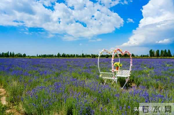 女性老得快的原因，勤洗头排第2，第1名很多姐妹都在做