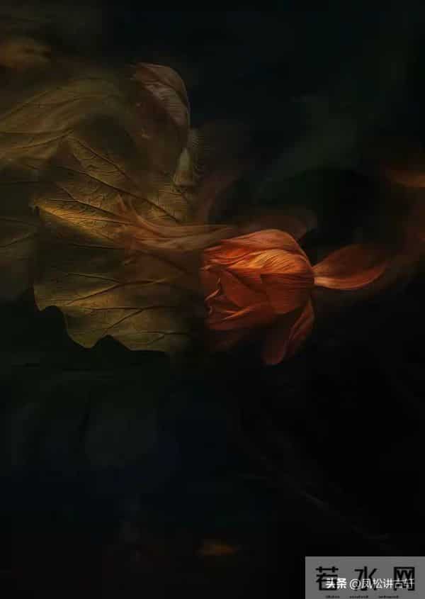 判断女人是否干净，看她这6个部位，八九不离十