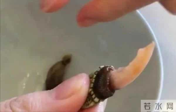 湛江婆婆用一个小时做饭，重庆媳妇却吃不下，网友：没见过世面