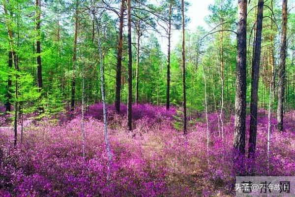 惊人的因果关系：男女之间，一旦发生了暧昧关系，一辈子也忘不了