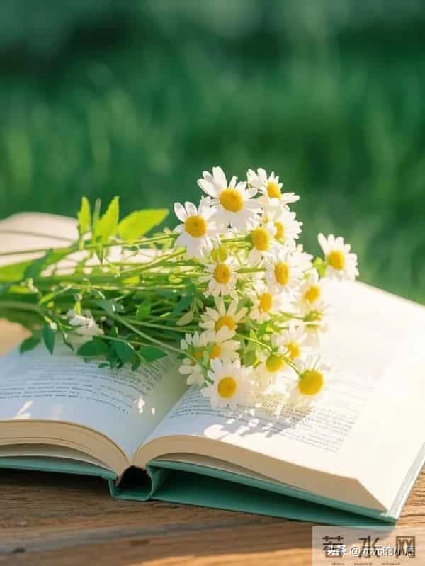 “可以永远置顶的句子”