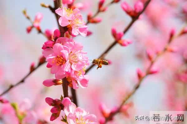 女人对你动了情，藏不住的4个小动作，哪怕只碰到1个，她已上隐