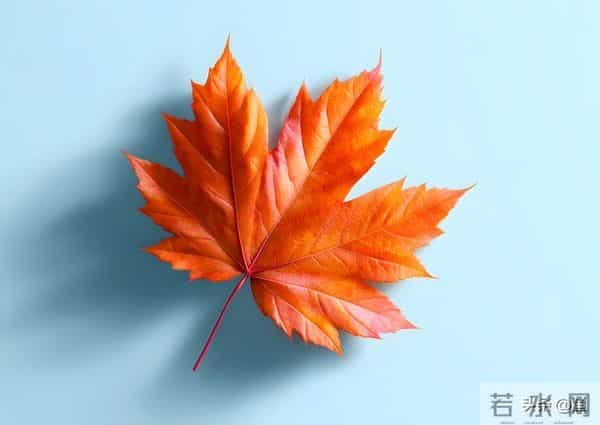 退休清华教授十条人生忠告:70岁后,一定要守住自己的幸福底线