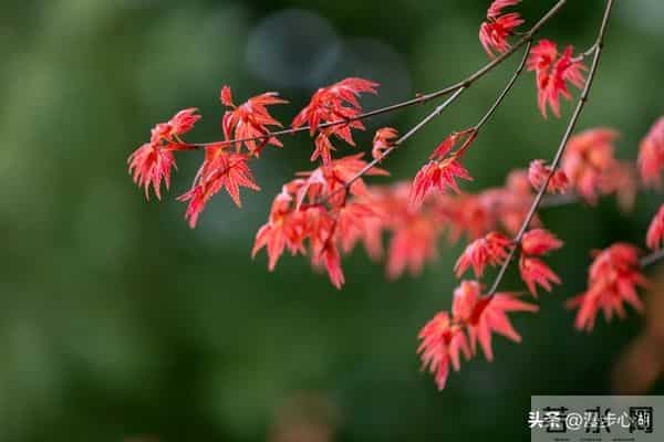 两性交往，刺激女人荷尔蒙的6个“心”开关，让她彻底为你折服！