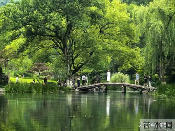 老了才懂，永远不要在兄弟姐妹面前，随口说这5句！再亲也不行！