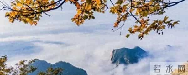 你别不信，大部分公公，都会趁儿子不在家的时候跟儿媳妇保持距离