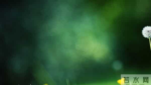 天蝎座，人算不如天算，12月12日至12月18号下周星座运势