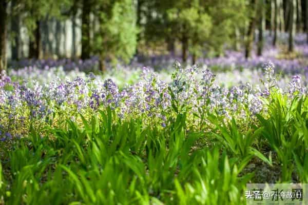 一个很厉害的本事:就是跟任何人相处,都大大方方的秘诀就一个