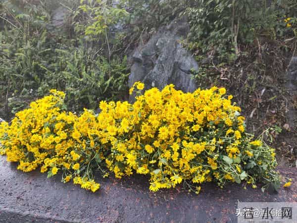 男人，别瞎摸了，女人身上这3个“一碰就炸的开关”，错了就出局