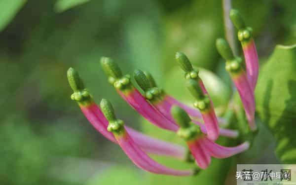 12月12日至12月21日,射手座,即将发生!