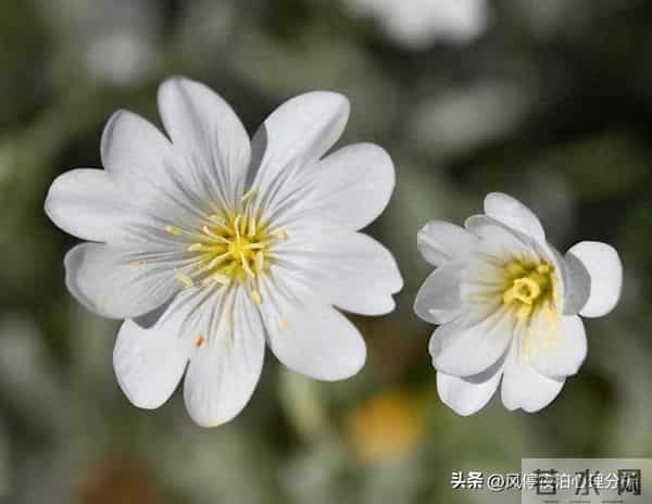 夫妻之间的人性潜规则，一旦被忽视：婚姻就会“出问题”！别大意