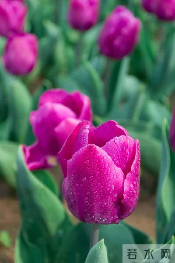 面对爱而不得的人，最好的方式，其实就一个字