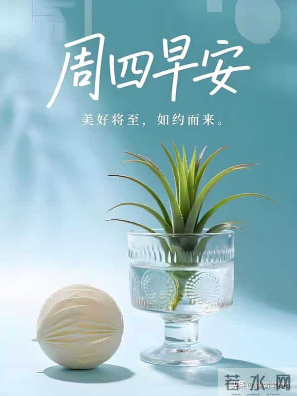 2025年12月11日早安问候：用温度融化冬日的寒